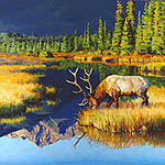"Perfect Dawn" (elk), signed open edition print - $35
