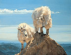 "Now What?" (mountain goats), signed open edition print - $35